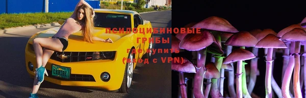 МДПВ Навашино