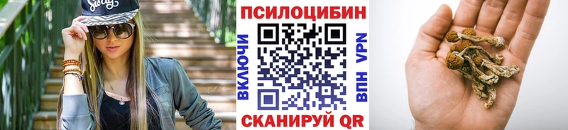 KRAKEN tor  Нытва  Псилоцибиновые грибы мухоморы 